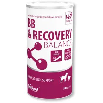 VETFOOD BB & Recovery Balance 500g