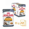 ROYAL CANIN Intense Beauty Gelee 12x85g