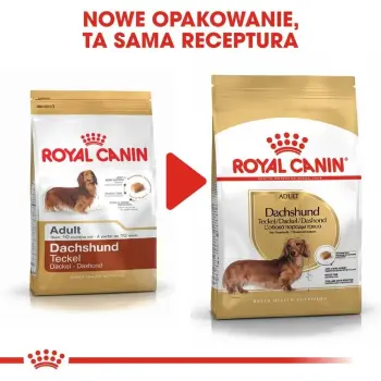 ROYAL CANIN Dachshund 500g + 500g