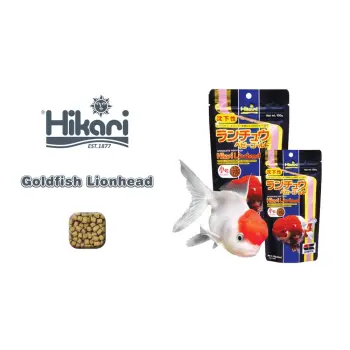 Hikari Goldfish Lionhead Mini 100g