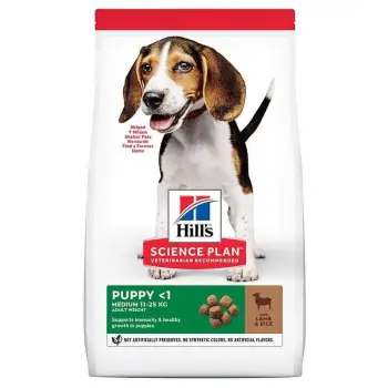 Hill's SP Science Plan Canine Puppy Medium Jagnięcina 18kg