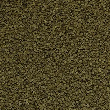 Tropical Spirulina Granulat 250ml