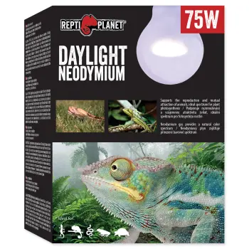 REPTI PLANET Żarówka Daylight Neodymium 75W