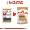 ROYAL CANIN Chihuahua Adult 12x85g