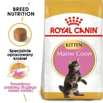 ROYAL CANIN Maine Coon Kitten 10kg