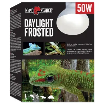 REPTI PLANET Żarówka Daylight Frosted 50W