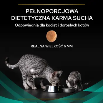 PURINA Pro Plan Veterinary Diets EN Gastrointestinal Cat 400g