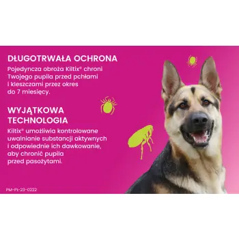 Bayer Kiltix Obroża Na Kleszcze I Pchły Dla Psa 70cm