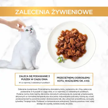 Purina Gourmet Gold kaczka/indyk w sosie 85g