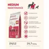 Fitmin Medium Maintenance Kurczak 3kg