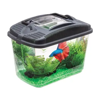 AQUAEL Akwarium Betta Kit Dla Bojownika 3l