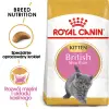 ROYAL CANIN British Shorthair Kitten 400g