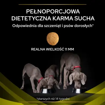 PURINA Pro Plan Veterinary Diets HP Hepatic 3kg