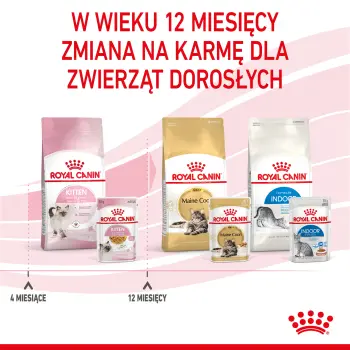 ROYAL CANIN Kitten Instinctive W Galaretce 12x85g