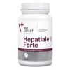 VETEXPERT Hepatiale Forte Large Breed 40 Tabletek