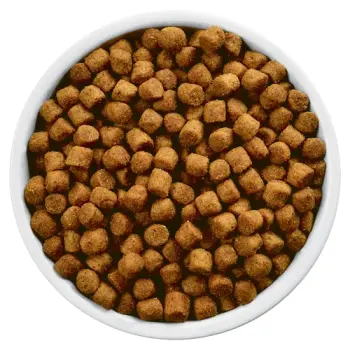 Hill's PD Prescription Diet Canine j/d 2kg