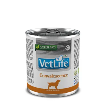 Farmina Vet Life Canine Convalescence 300g