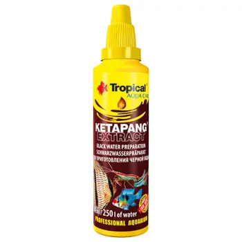 Tropical Ketapang Extract 30ml