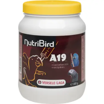 Versele-Laga NutriBird A19 Pokarm Do Ręcznego Karmienia Piskląt 800g