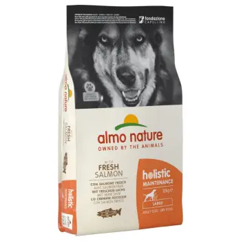 ALMO NATURE Holistic Maintenance Adult Large Z Łososiem 12kg