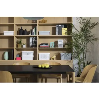 Curver Infinity Pojemnik Z Przykrywką Biały 17l