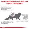 ROYAL CANIN Renal Feline 4kg