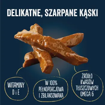 Felix Tasty Shreds Mokra Karma Dla Kota Z Kaczką I Indykiem W Sosie 4x80g