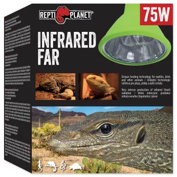 REPTI PLANET Żarówka Far Infrared HEAT 75W