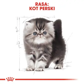 ROYAL CANIN Persian Kitten 400g