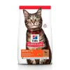 Hill's SP Science Plan Feline Adult Jagnięcina 10kg