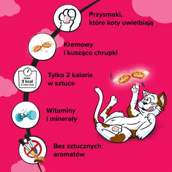 DREAMIES Przysmak Dla Kota Z Wołowiną 60g