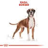 ROYAL CANIN Boxer Adult 12kg