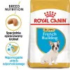 ROYAL CANIN French Bulldog Puppy 1kg