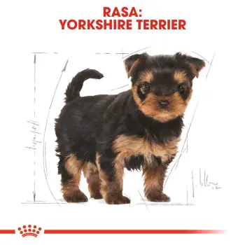 ROYAL CANIN Yorkshire Terrier Puppy 500g