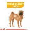 ROYAL CANIN CCN Medium Dermacomfort 12kg