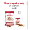 ROYAL CANIN Medium Ageing 10+ 15kg