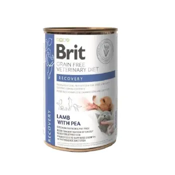 Brit GF Veterinary Diets Recovery 400g