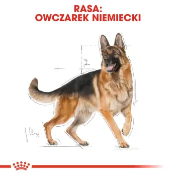 ROYAL CANIN German Shepherd Adult 3kg