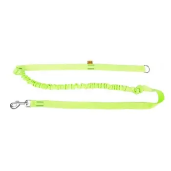 Dingo Smycz Z Amortyzatorem I Uchwytem Zielona 170cm