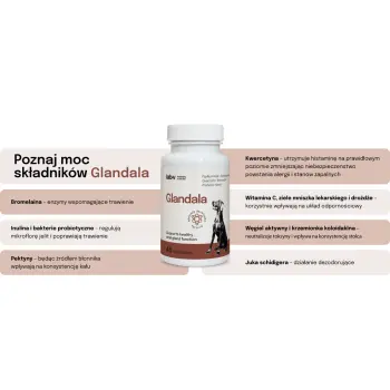 Lab-v Glandala Wsparcie Gruczołów Okołoodbytowych i Przewodu Pokarmowego 45 Kapsułek