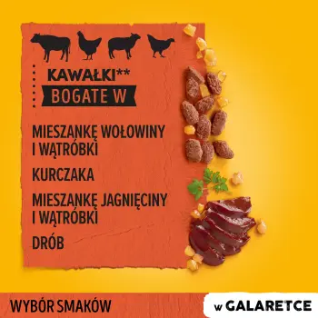 Pedigree Mokra Karma Dla Dorosłych Psów W Galaretce Z Wołowiną, Z Kurczakiem, Z Jagnięciną, Z Drobiem 12x100g