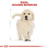 ROYAL CANIN Golden Retriever Puppy 3kg