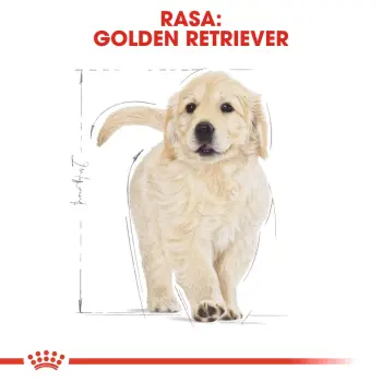 ROYAL CANIN Golden Retriever Puppy 12kg