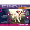 Eukanuba Puppy&Junior Lamb&Rice Large Breeds 12kg