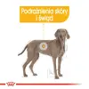 ROYAL CANIN CCN Maxi Dermacomfort 12kg