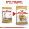 ROYAL CANIN Beagle Adult 12kg