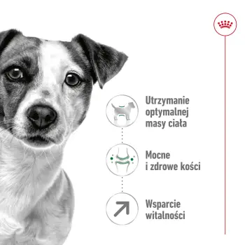 ROYAL CANIN Mini Adult 8+ 2kg