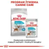 ROYAL CANIN CCN Urinary Care pasztet 12x85g