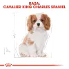 ROYAL CANIN Cavalier King Charles Spaniel Puppy 1,5kg