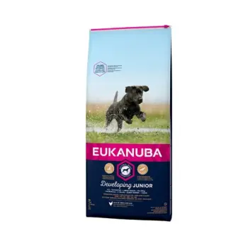 Eukanuba Junior Large 15kg